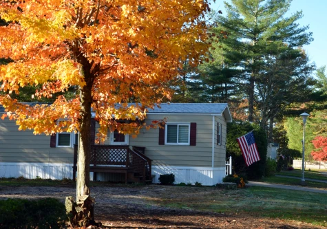 Photo of fall foliage at Rustic Pines Esates.